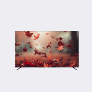 NASCO 32" LED DIGITAL SATELLITE TELEVISION - NAS-B32FBFL